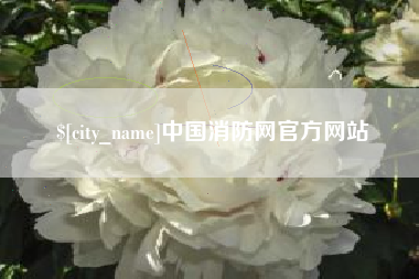周口中国消防网官方网站