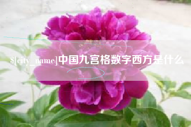 周口中国九宫格数字西方是什么