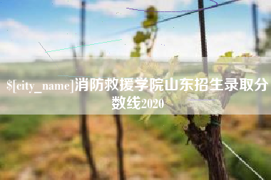 周口消防救援学院山东招生录取分数线2020