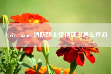周口消防职业资格证书怎么查询