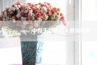 周口中国失信执行人查询官网