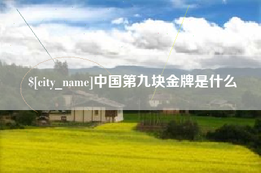 周口中国第九块金牌是什么