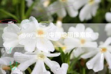 周口中国地图像素版