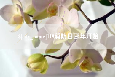 周口119消防日哪年开始