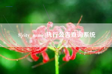 周口执行公告查询系统