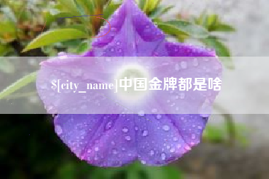 周口中国金牌都是啥
