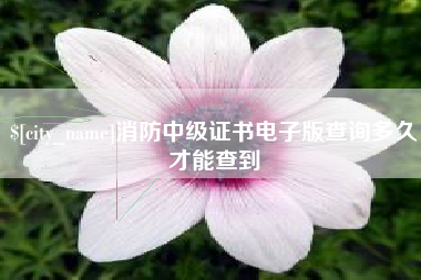 周口消防中级证书电子版查询多久才能查到