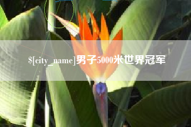 周口男子5000米世界冠军