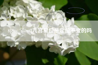周口九宫星位是定位不变的吗