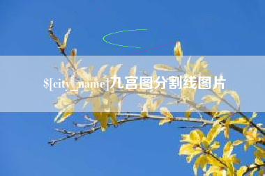 周口九宫图分割线图片