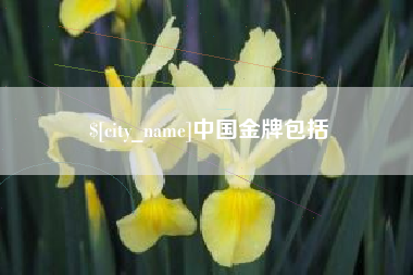 周口中国金牌包括