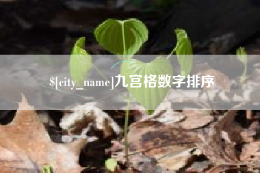 周口九宫格数字排序