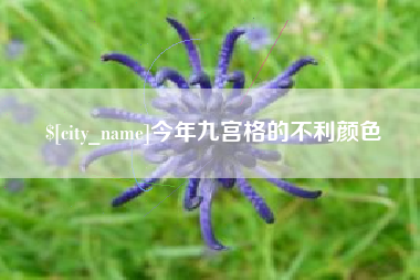 周口今年九宫格的不利颜色