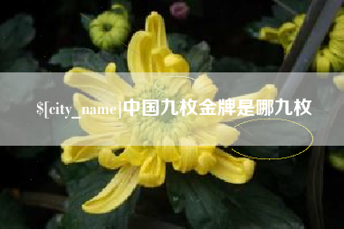 周口中国九枚金牌是哪九枚