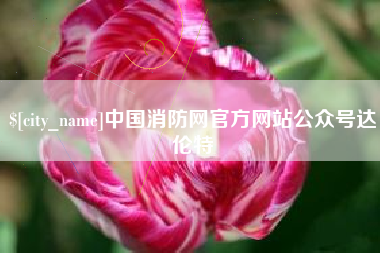 周口中国消防网官方网站公众号达伦特
