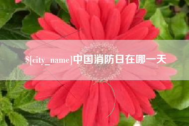 周口中国消防日在哪一天