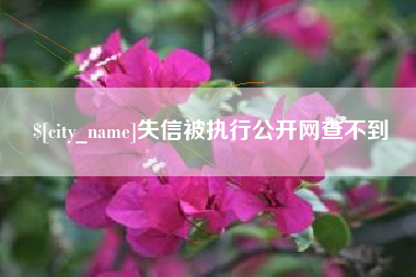 周口失信被执行公开网查不到