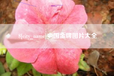 周口中国金牌图片大全