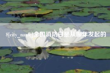 周口全国消防日是从哪年发起的