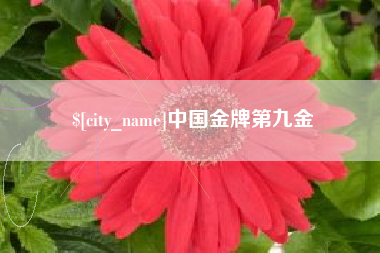 周口中国金牌第九金