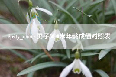 周口男子5000米年龄成绩对照表