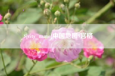 周口中国地图9宫格