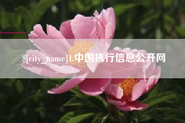 周口1.中国执行信息公开网