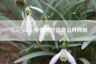周口中国执行信息公开网询