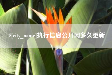 周口执行信息公开网多久更新