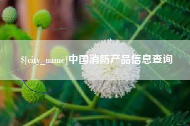 周口中国消防产品信息查询