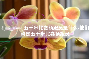 周口五千米比赛领跑员是什么-他们就是五千米比赛领跑员