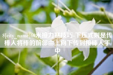 周口60米接力赛技巧-下压式则是传棒人将棒的前部由上向下传到接棒人手中