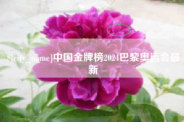 周口中国金牌榜2024巴黎奥运会最新