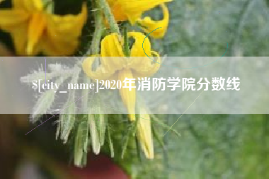 周口2020年消防学院分数线