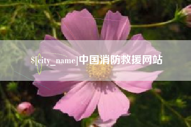 周口中国消防救援网站