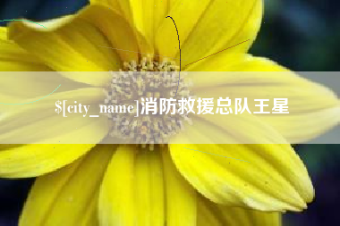 周口消防救援总队王星