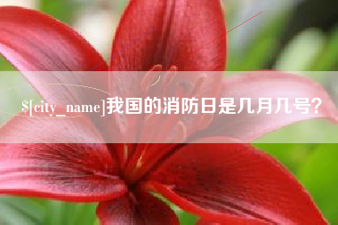 周口我国的消防日是几月几号？