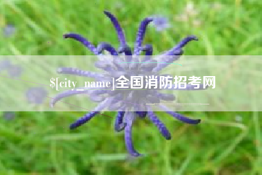 周口全国消防招考网