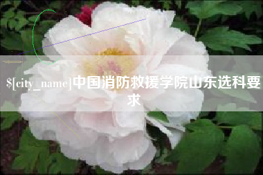 周口中国消防救援学院山东选科要求
