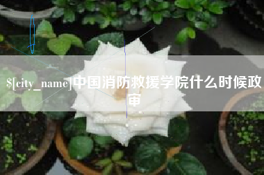 周口中国消防救援学院什么时候政审