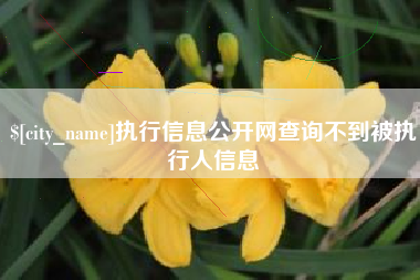 周口执行信息公开网查询不到被执行人信息