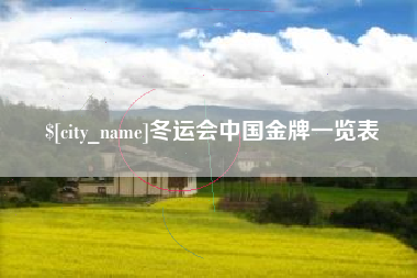 周口冬运会中国金牌一览表