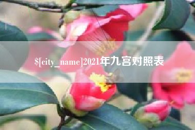 周口2021年九宫对照表