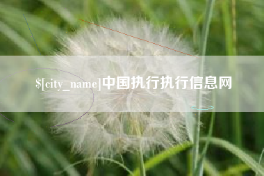 周口中国执行执行信息网