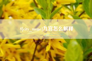 周口九宫怎么解释
