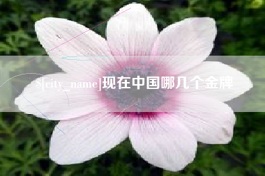 周口现在中国哪几个金牌