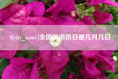 周口全国的消防日是几月几日
