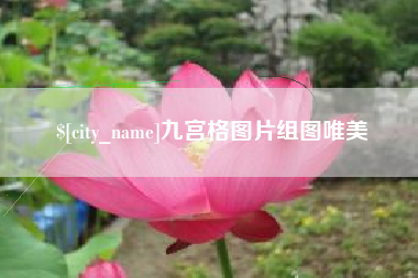 周口九宫格图片组图唯美