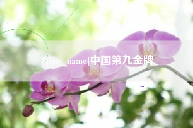 周口中国第九金牌