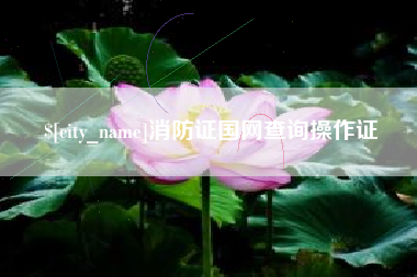 周口消防证国网查询操作证